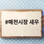 매천시장 새우