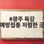 광주 독감 예방접종 저렴한 곳 비교하고 미리 대비하세요 광주 독감 예방접종 저렴한 곳
