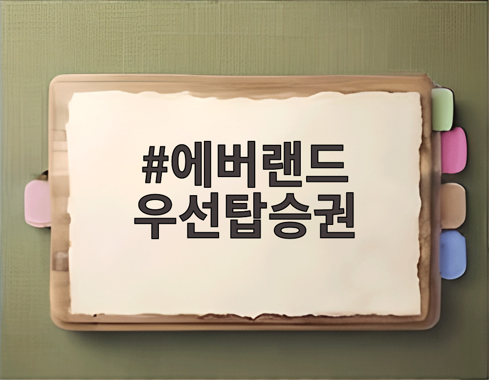 에버랜드 우선탑승권