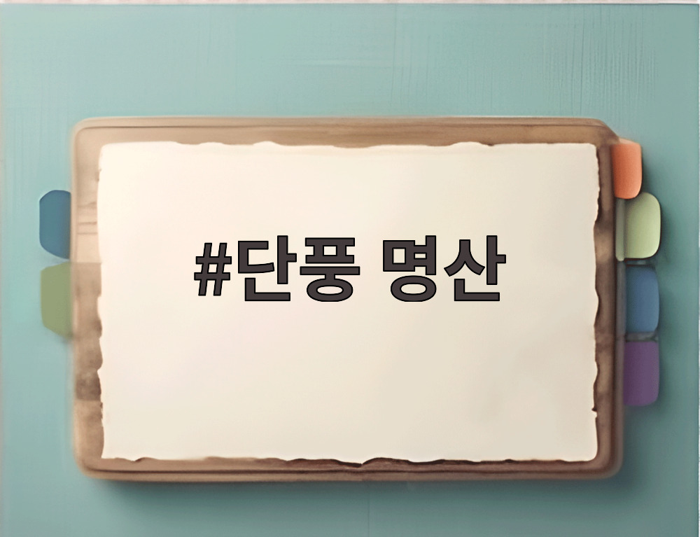 단풍 명산
