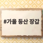 가을 등산 장갑