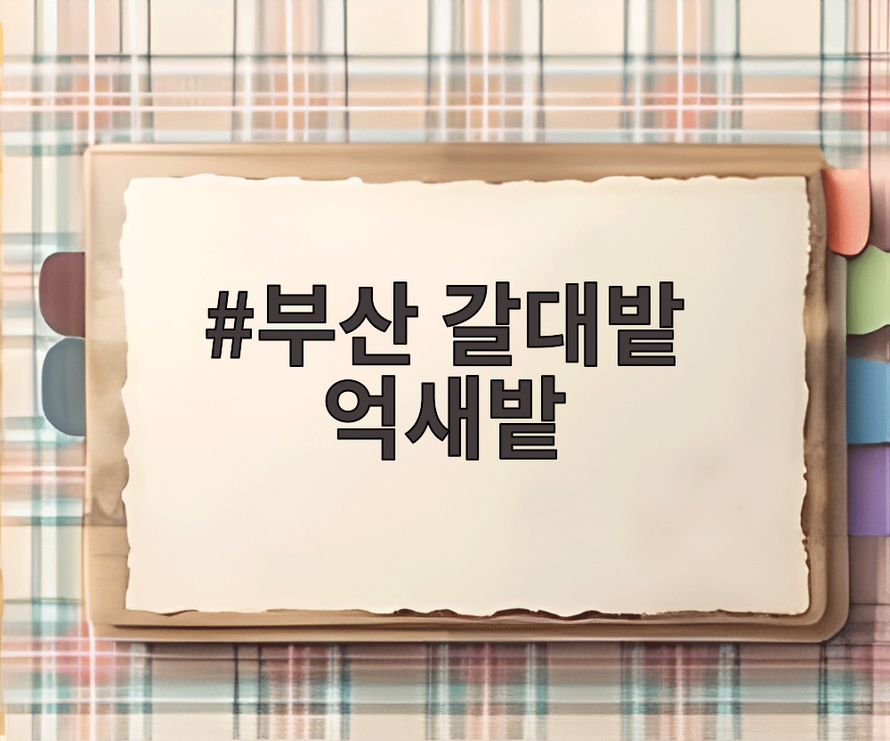 부산 갈대밭 억새밭