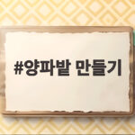 양파밭 만들기 이렇게 하면 봄에 알이 실하게 열려요 양파밭 만들기
