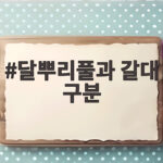 달뿌리풀과 갈대 구분 이렇게 하면 가을철 강가에서 헷갈리지 않아요 달뿌리풀과 갈대 구분