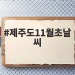 제주도11월초날씨