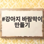 강아지 바람막이 만들기