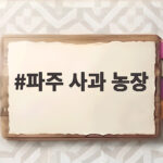 파주 사과 농장 아이와 가을 체험 준비 이렇게 하세요 파주 사과 농장