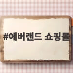 에버랜드 쇼핑몰