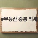 무등산 중봉 억새