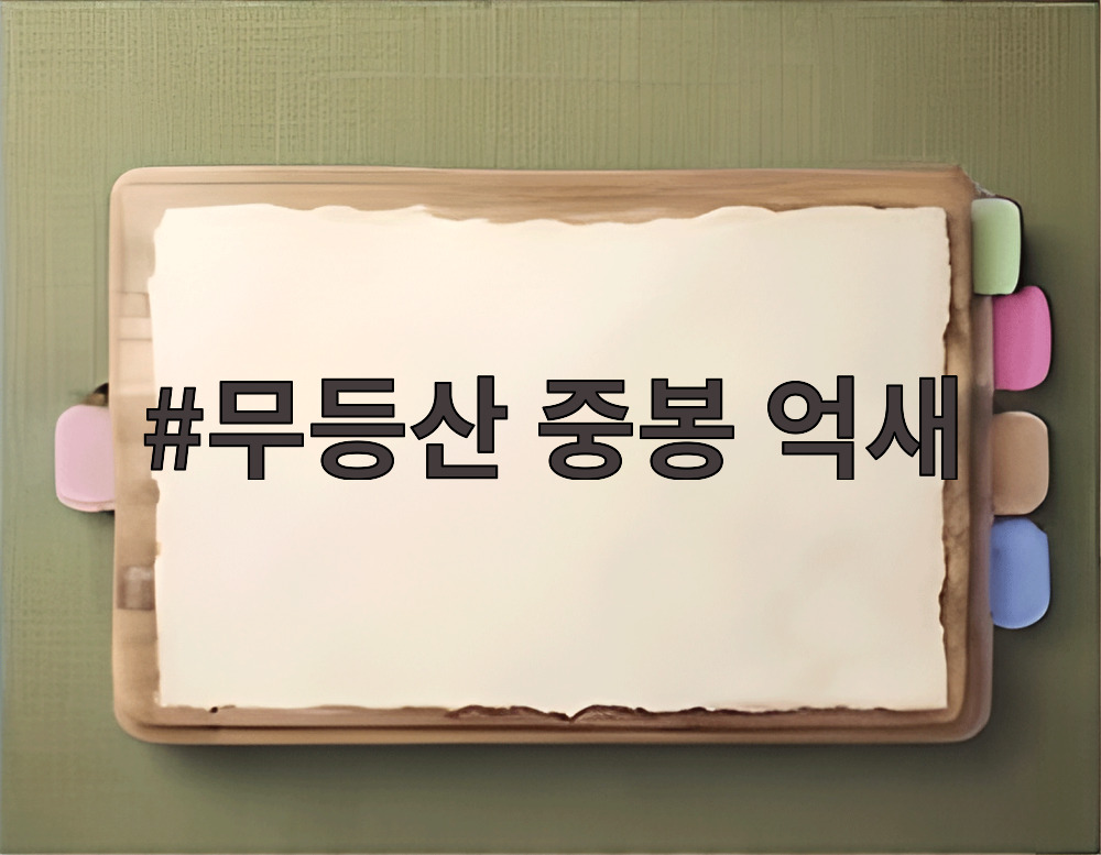 무등산 중봉 억새