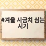 겨울 시금치 심는 시기 10월 중순 전에 뿌려야 내년 봄까지 달게 먹어요 겨울 시금치 심는 시기