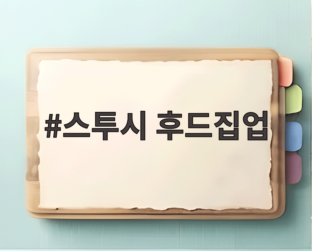 스투시 후드집업