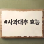 사과대추 효능 알고 먹으면 가을 건강 간식이 달라져요 사과대추 효능
