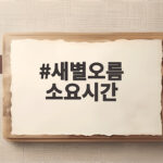 새별오름 소요시간 20분이면 충분할까 제주 가을 억새 명소 답사 새별오름 소요시간