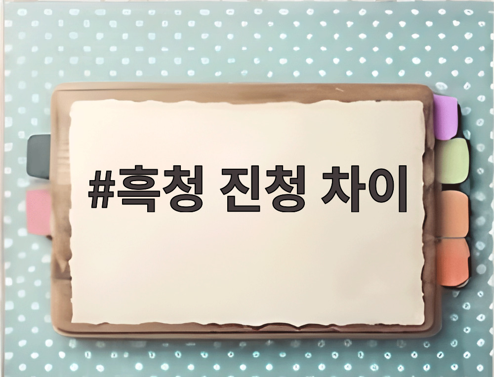 흑청 진청 차이
