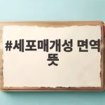 세포매개성 면역 뜻 몸속 방어 시스템을 한눈에 이해하기 세포매개성 면역 뜻