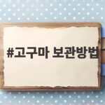 고구마 보관방법 한 박스 오래 두는 비결을 알려드립니다 고구마 보관방법