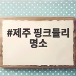 제주 핑크뮬리 명소 4곳과 가을 여행 일정 꿀팁 제주 핑크뮬리 명소