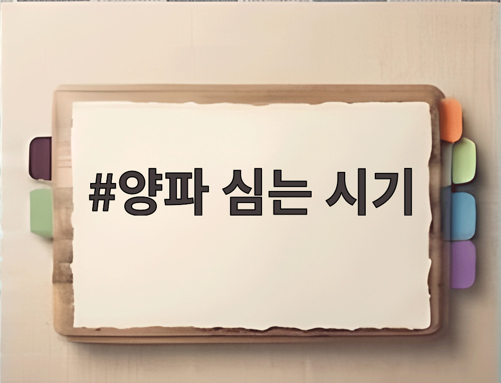 양파 심는 시기
