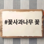 꽃사과나무 꽃