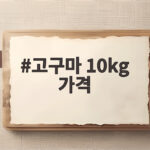 고구마 10kg 가격 얼마가 적당할까 제철 맞춰 현명하게 사는 법 고구마 10kg 가격