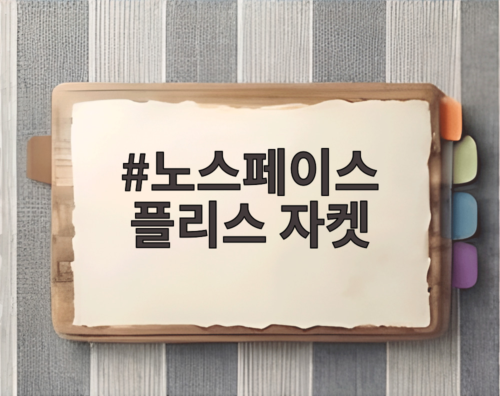 노스페이스 플리스 자켓