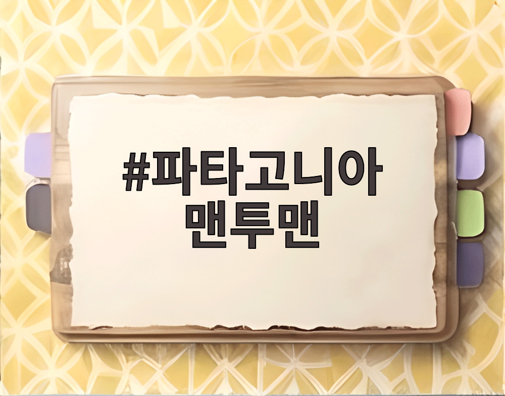 파타고니아 맨투맨