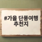 가을 단풍여행 추천지 올해 이곳으로 떠나보세요 가을 단풍여행 추천지