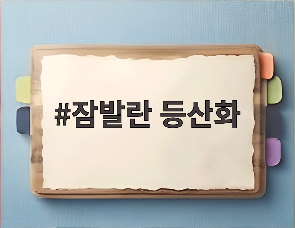 잠발란 등산화
