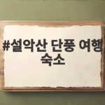 설악산 단풍 여행 숙소 고르는 법과 주차 걱정 없이 즐기는 가을 여행 설악산 단풍 여행 숙소