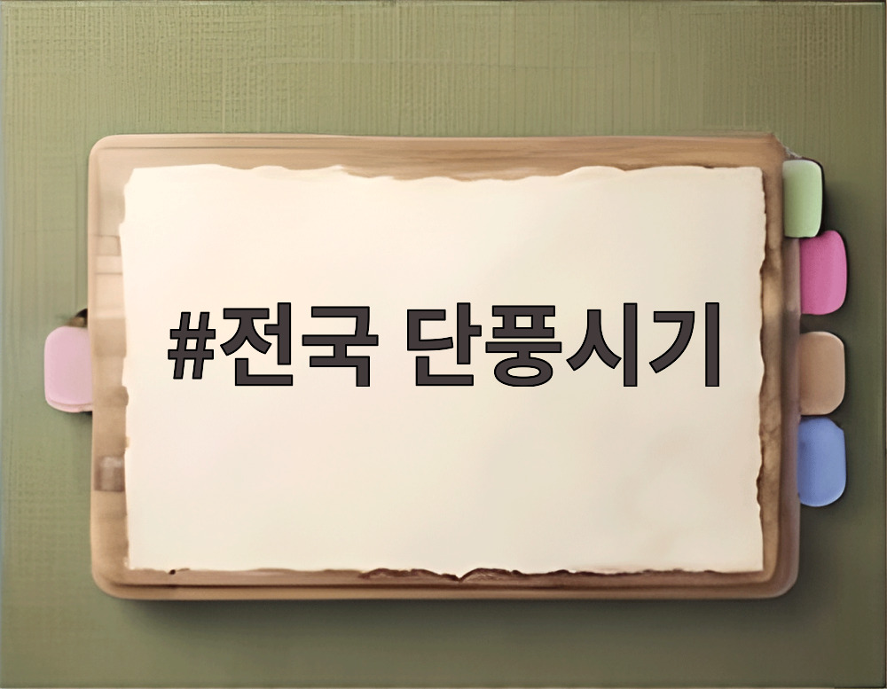 전국 단풍시기