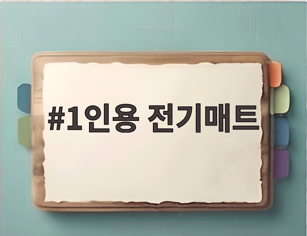 1인용 전기매트