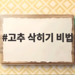 고추 삭히기 비법 소금물 비율과 온도가 만드는 아삭한 반찬의 비밀 고추 삭히기 비법