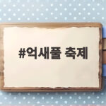 억새풀 축제