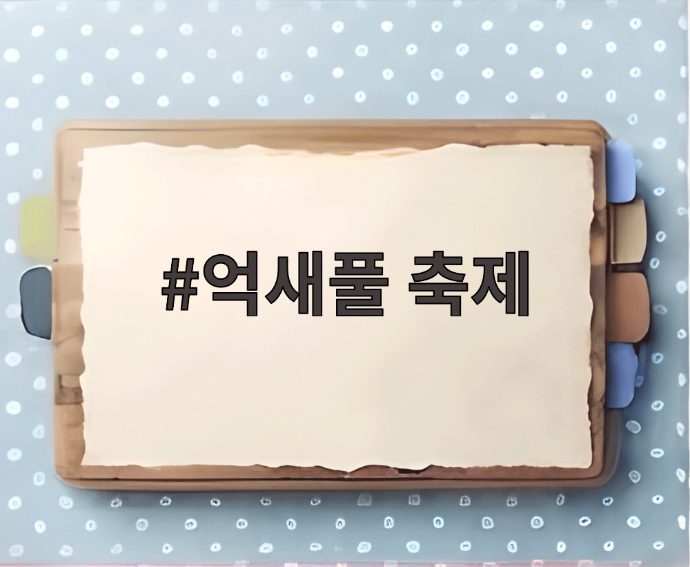 억새풀 축제