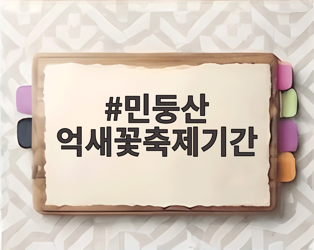민둥산 억새꽃축제기간