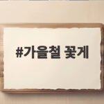 가을철 꽃게 맛있게 고르는 법 배딱지 하나면 충분합니다 가을철 꽃게