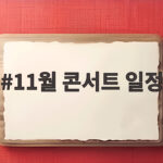 11월 콘서트 일정