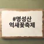 명성산 억새꽃축제