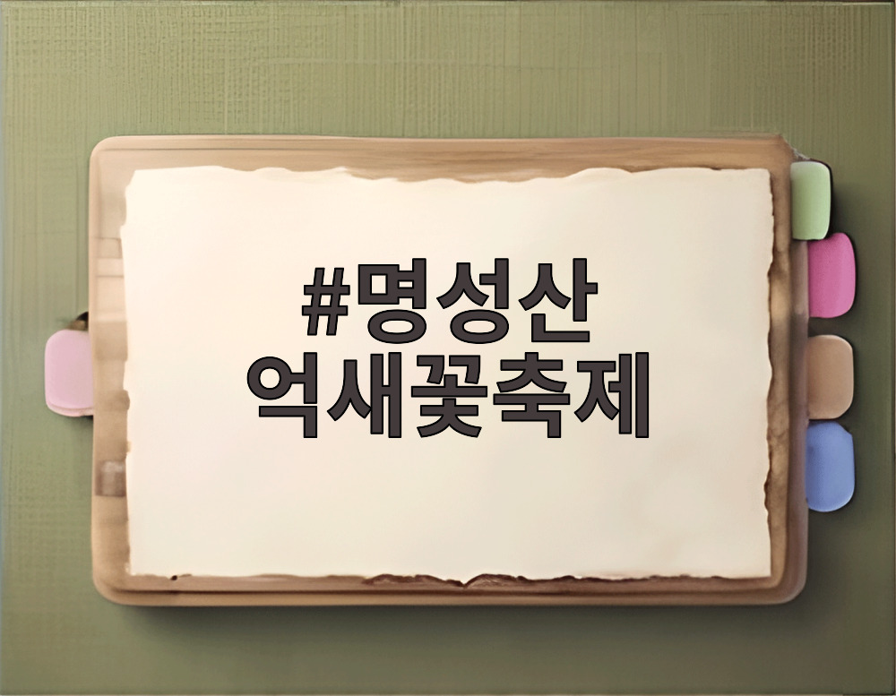 명성산 억새꽃축제