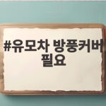 유모차 방풍커버 필요할까 찬바람 부는 날 이렇게 챙기세요 유모차 방풍커버 필요