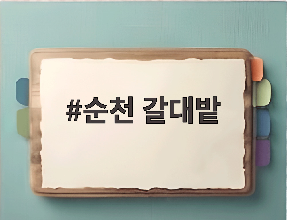 순천 갈대밭
