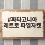 파타고니아 레트로 파일자켓