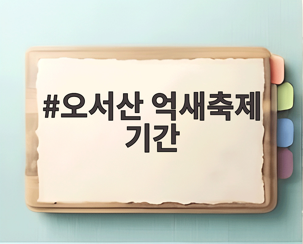 오서산 억새축제 기간