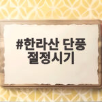 한라산 단풍 절정시기 11월 6일과 13일 언제 가야 할까 한라산 단풍 절정시기