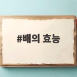 배의 효능 기관지부터 장까지 좋은 이유와 맛있게 먹는 법 한눈에 정리 배의 효능