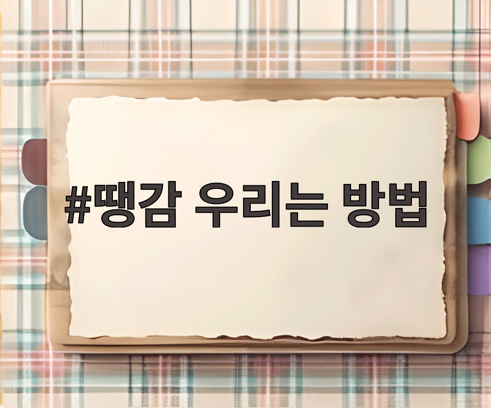 땡감 우리는 방법