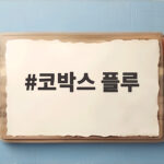 코박스 플루
