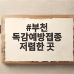 부천 독감예방접종 저렴한 곳 가격 비교하고 미리 챙기세요 부천 독감예방접종 저렴한 곳
