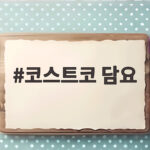 코스트코 담요